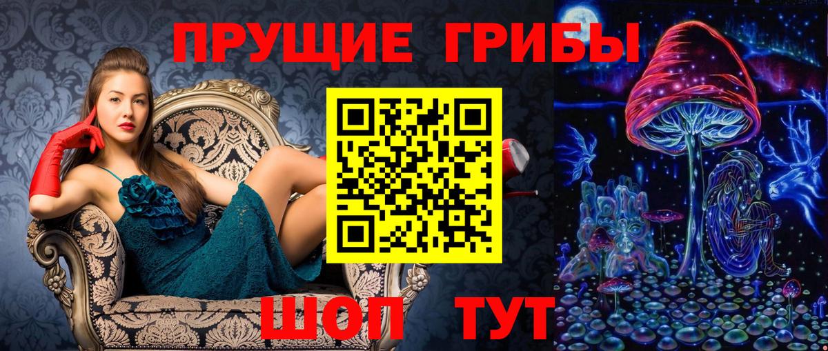 Галлюциногенные грибы Дальнегорск