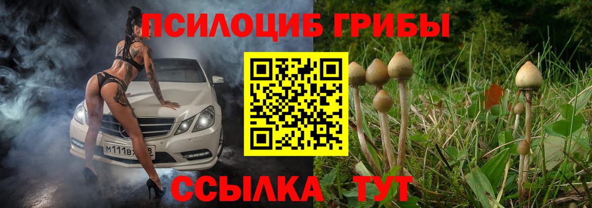 Псилоцибиновые грибы GOLDEN TEACHER  Псилоцибиновые грибы мицелий  Дальнегорск  Вход с VPN 