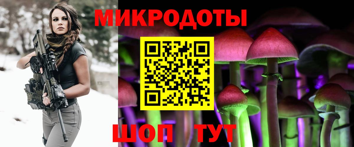 Псилоцибиновые грибы прущие грибы Дальнегорск