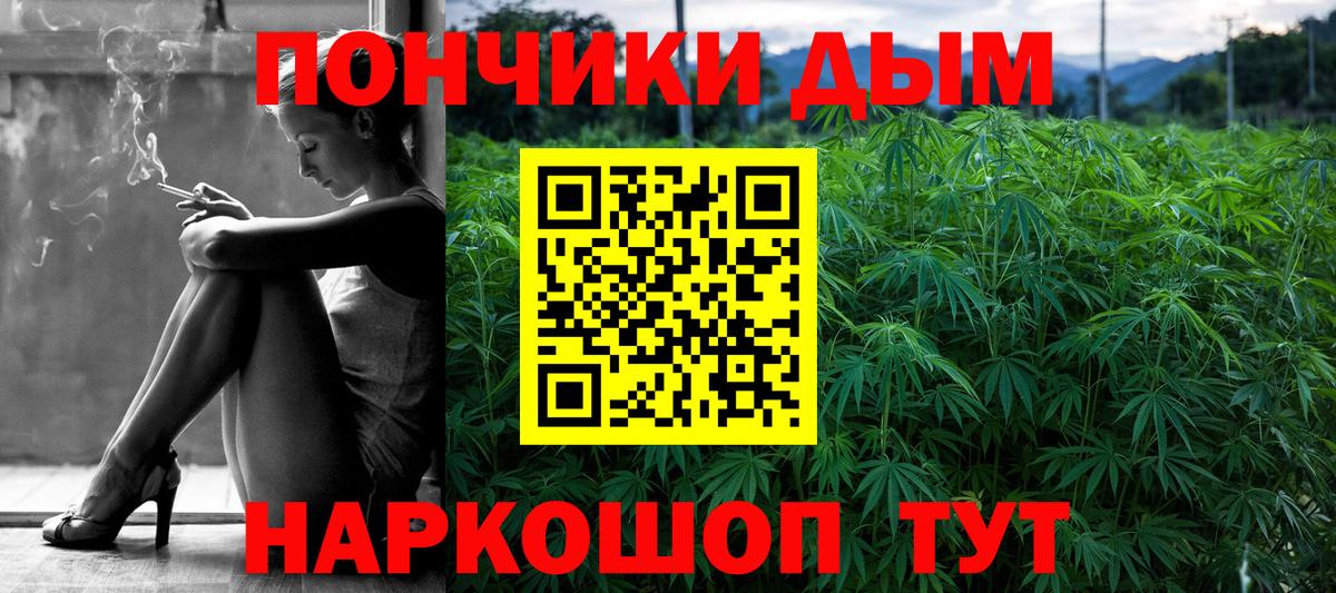 Шишки марихуана семена  Канабис индика  Вход с VPN  Дальнегорск 